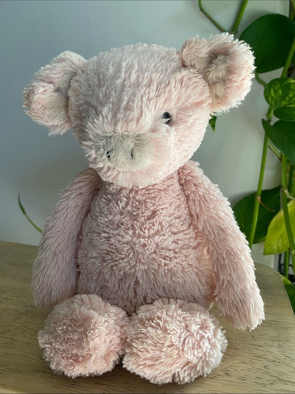 Retired Jellycat Bashful Piglet Medium Rare Collectible